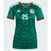 Mexiko Roberto Alvarado #25 Hemmatröja Dam VM 2026 Kortärmad