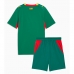 Senegal Bortatröja Barn VM 2026 Kortärmad (+ Korta byxor)