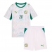 Senegal Habib Diallo #20 Hemmatröja Barn VM 2026 Kortärmad (+ Korta byxor)